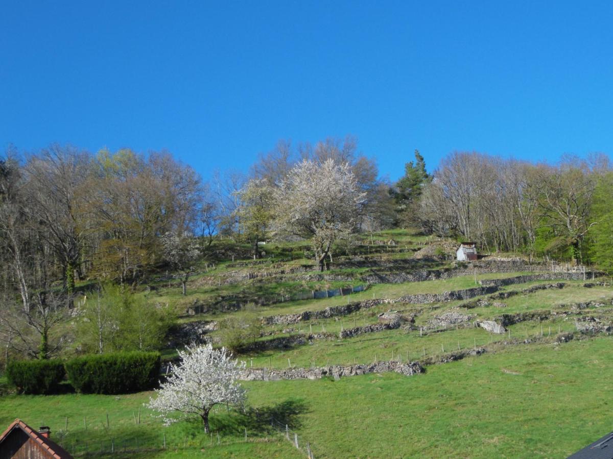 Gite Du Silberwald Charmant Gite Avec Spa - Jacuzzi , Acces Privatif Stosswihr ภายนอก รูปภาพ