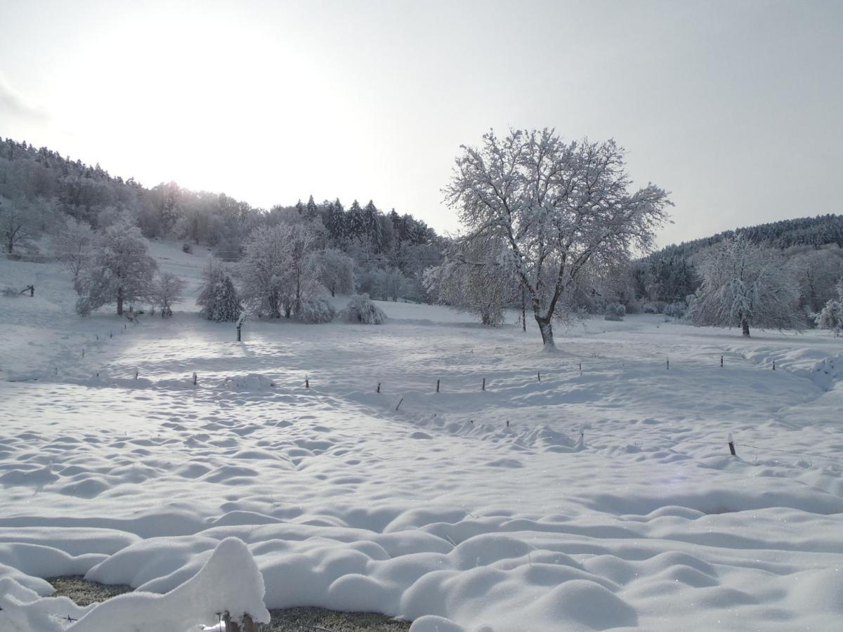 Gite Du Silberwald Charmant Gite Avec Spa - Jacuzzi , Acces Privatif Stosswihr ภายนอก รูปภาพ