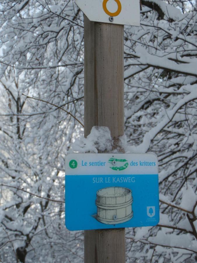Gite Du Silberwald Charmant Gite Avec Spa - Jacuzzi , Acces Privatif Stosswihr ภายนอก รูปภาพ
