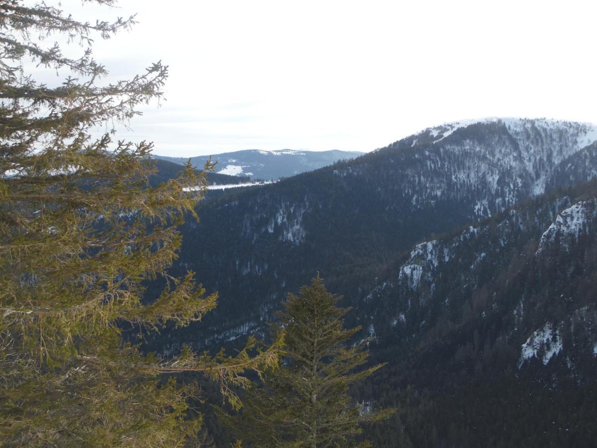 Gite Du Silberwald Charmant Gite Avec Spa - Jacuzzi , Acces Privatif Stosswihr ภายนอก รูปภาพ
