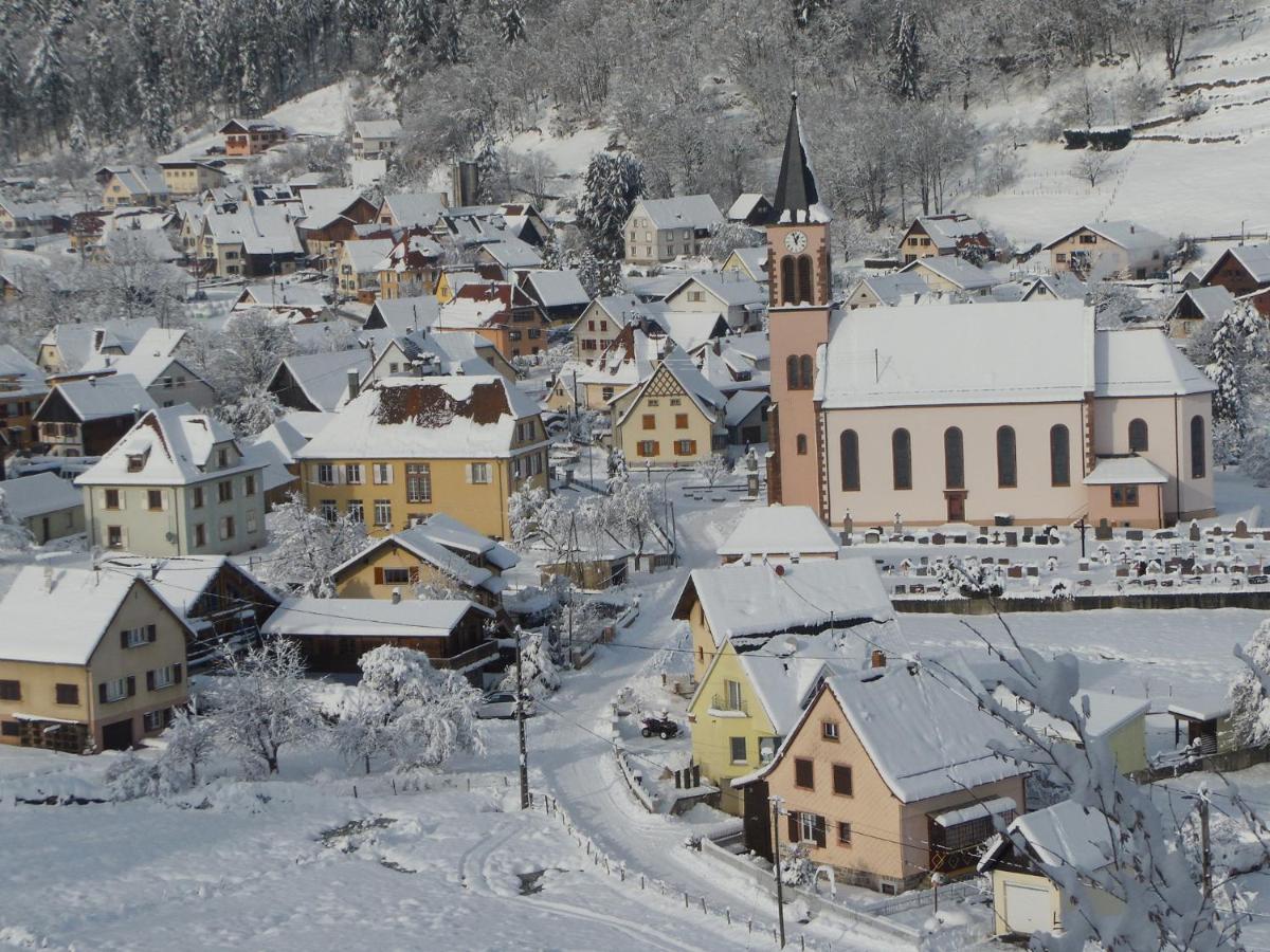 Gite Du Silberwald Charmant Gite Avec Spa - Jacuzzi , Acces Privatif Stosswihr ภายนอก รูปภาพ